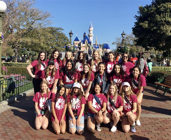 The Team at Disneyland